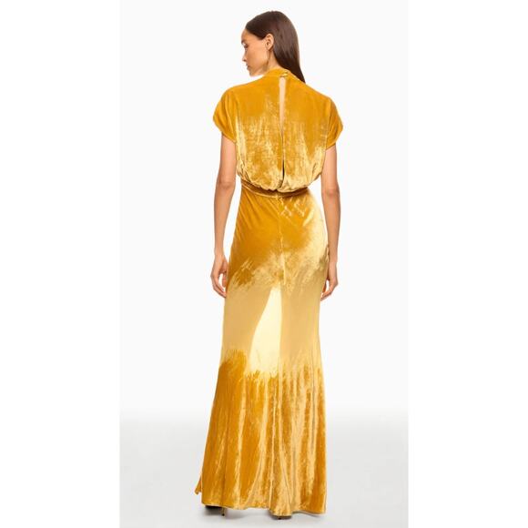 SALONI Fabienne Golden Velvet Gown Size 10 - Picture 1 of 7